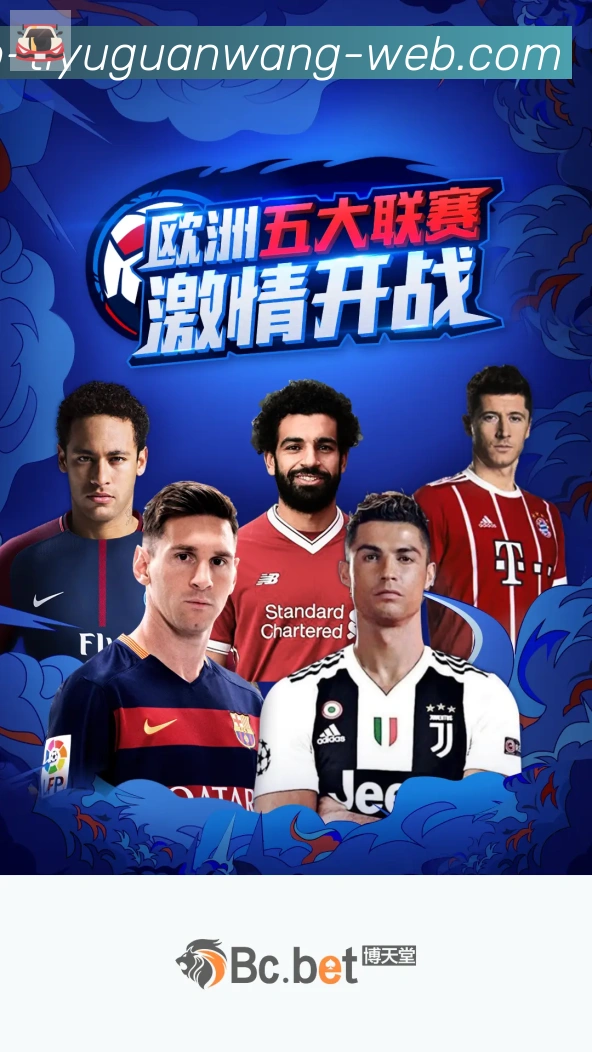 未来规划