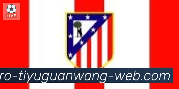 GOGO体育官网合作伙伴